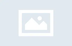대웅제약 심포지엄 만족도 조사
