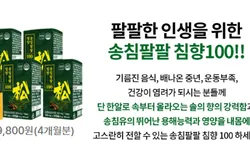 송침팔팔