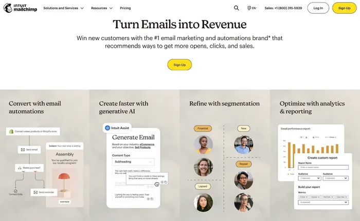 MailChimp — advanced audience management