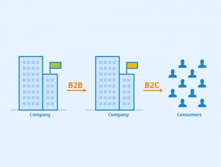 B2B B2C Comparison